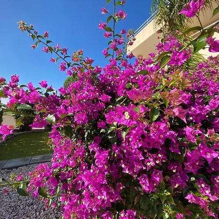 Nissi 3 View 2 Bedroom Διαμέρισμα