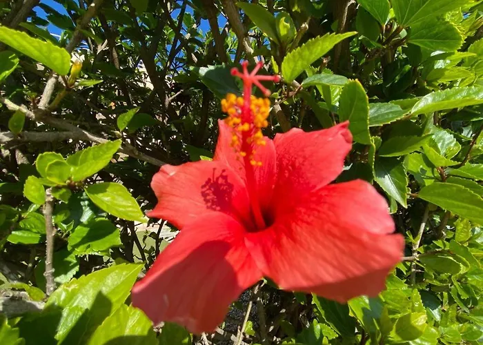 Lejlighed Nissi 3 View 2 Bedroom