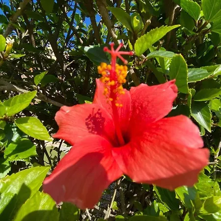 Apartmán Nissi 3 View 2 Bedroom