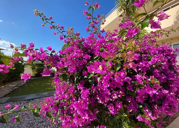 Nissi 3 View 2 Bedroom アパート